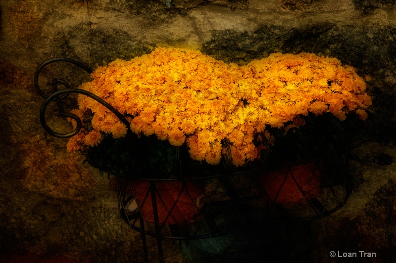 56