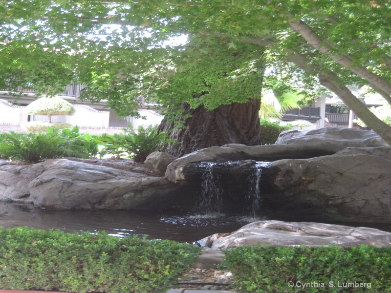 Peaceful. . .