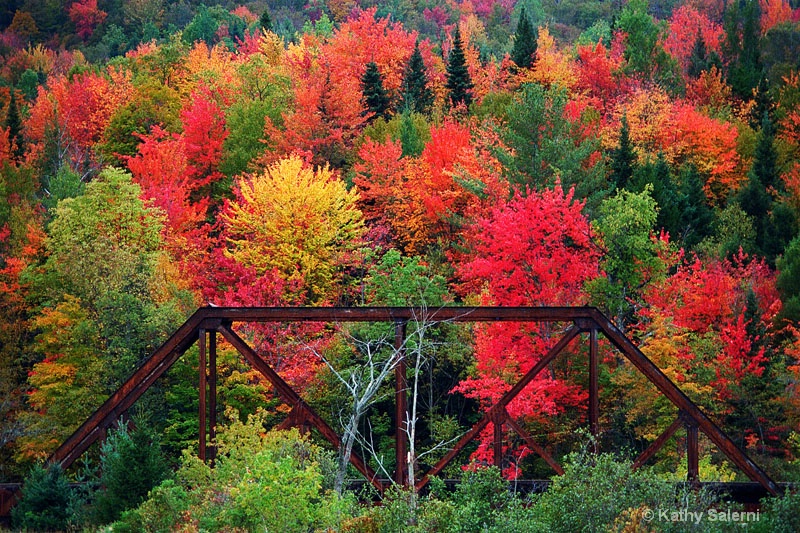 Old Railroad Bridge in Color!  - JAN