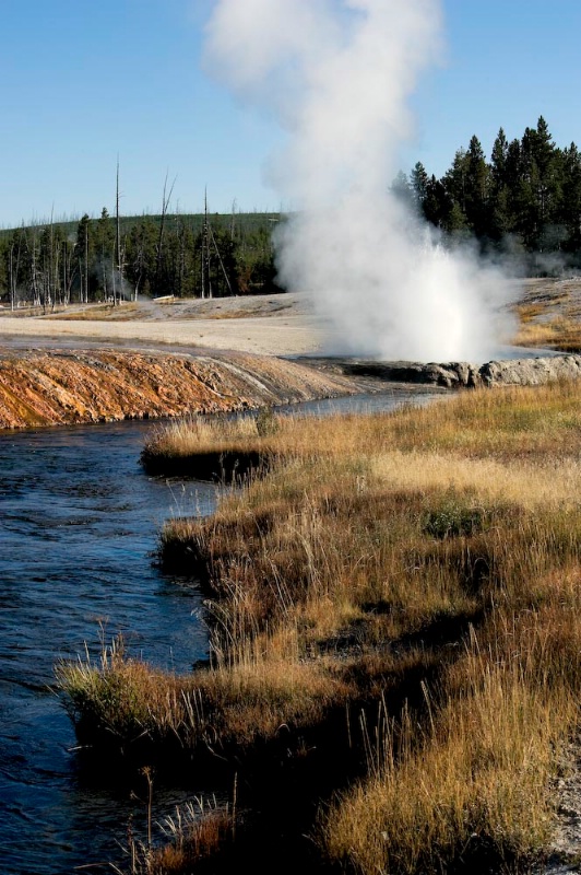 Geyser Along the River