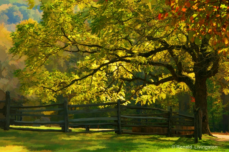 Fence Line