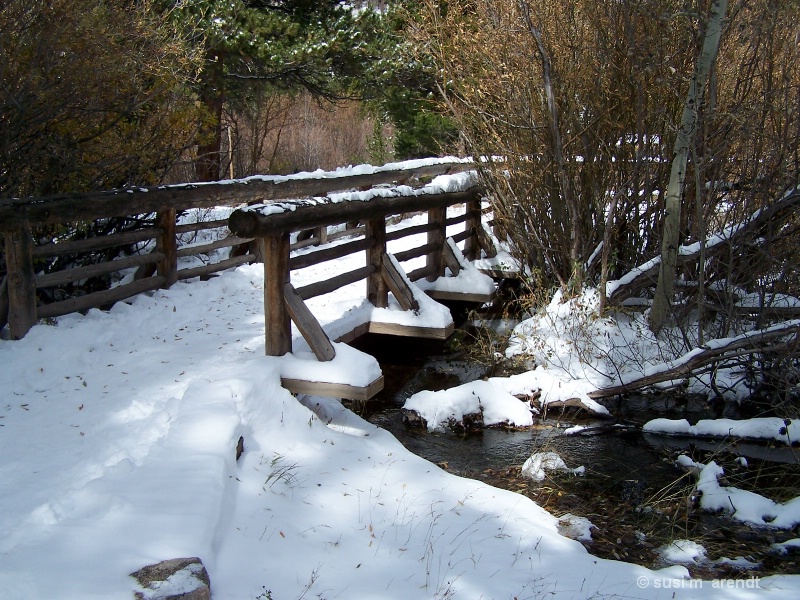 Winter Bridge