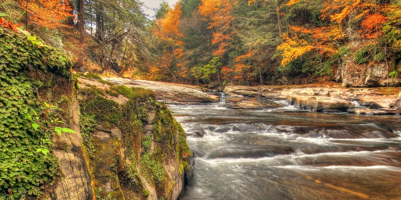 Fall on the Creek