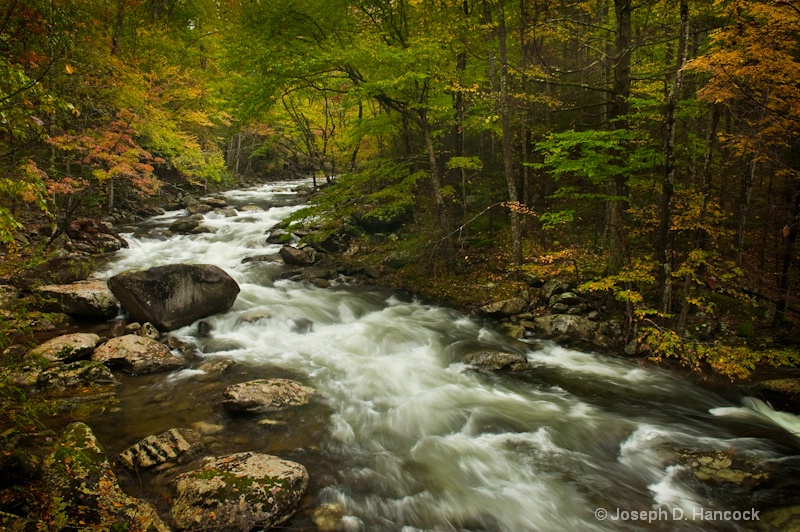 d700 1697 Fall Stream