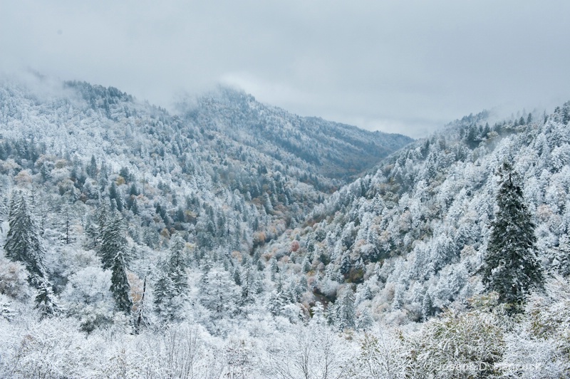 d700 1828 Early Snow