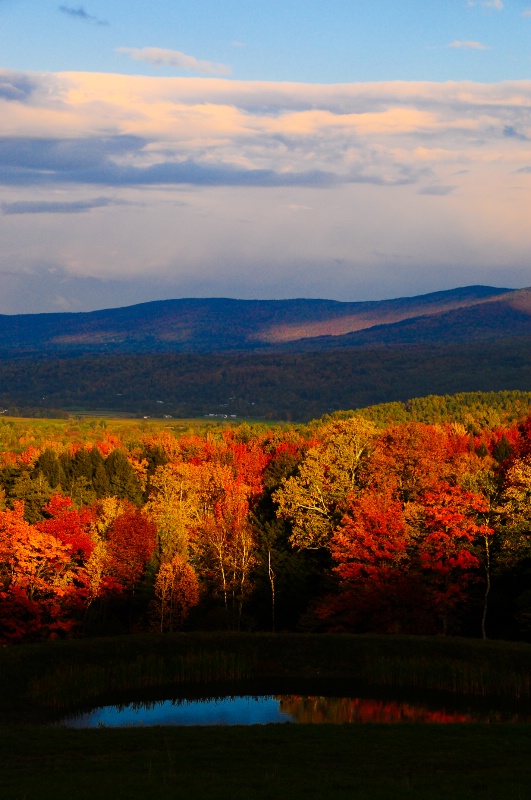 Trapp Pond View