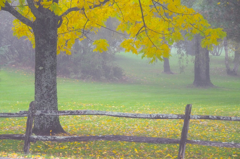 Vermont Morning