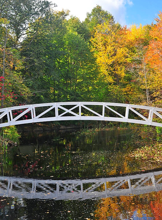 Bridge & Color