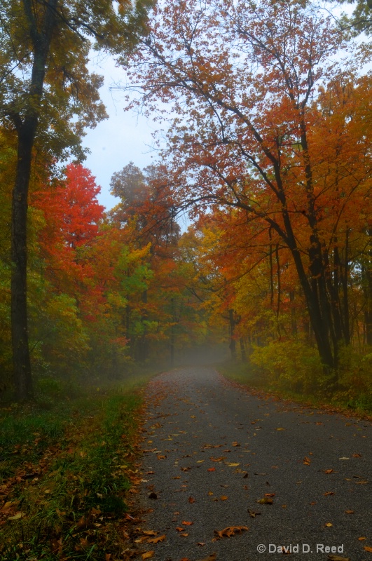 Fall morning at Tar Hollow State Park