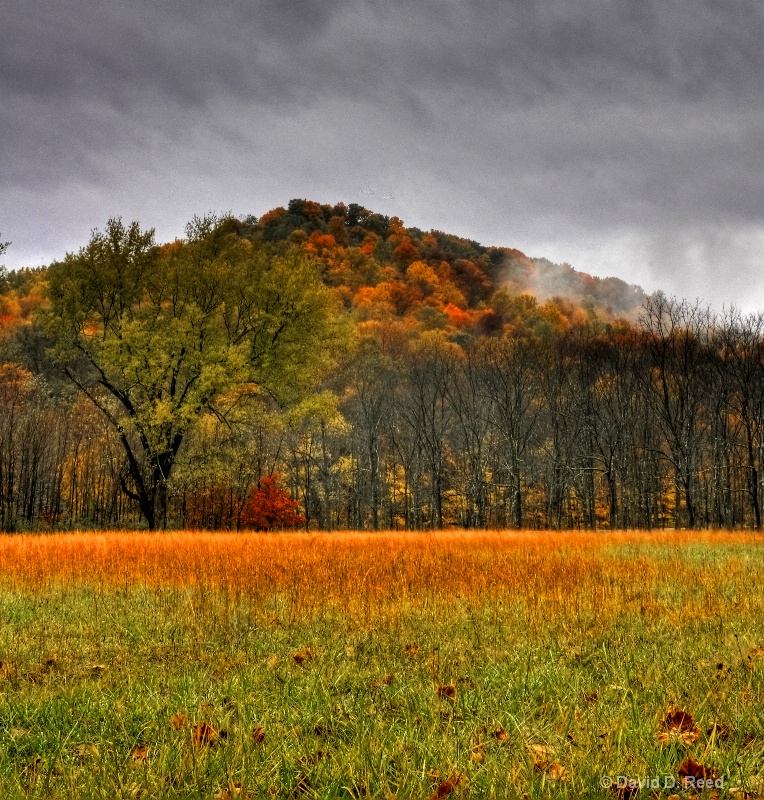 Tar Hollow State Park