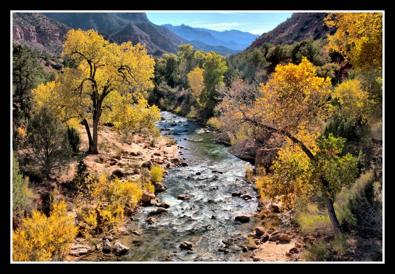 Zion Autumn