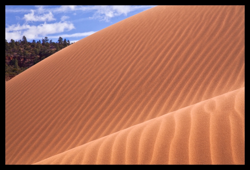 Dune Abstract