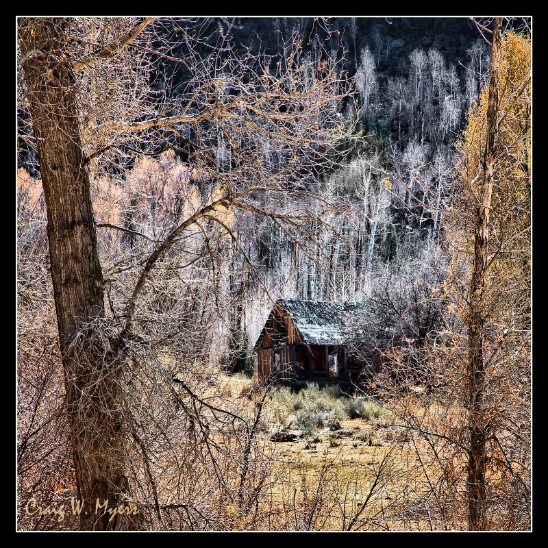 Abandoned Homestead