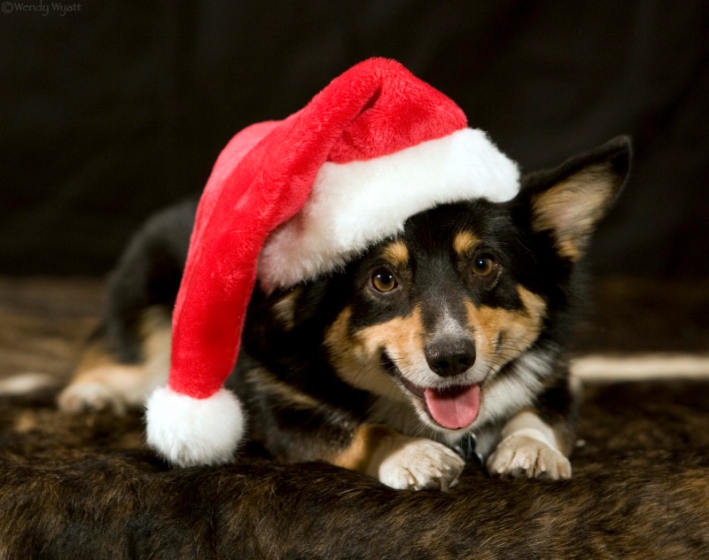 SantaPistol