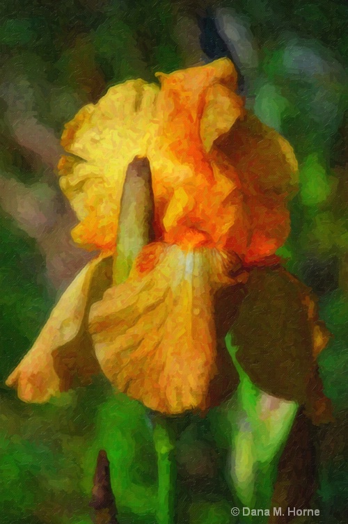 65