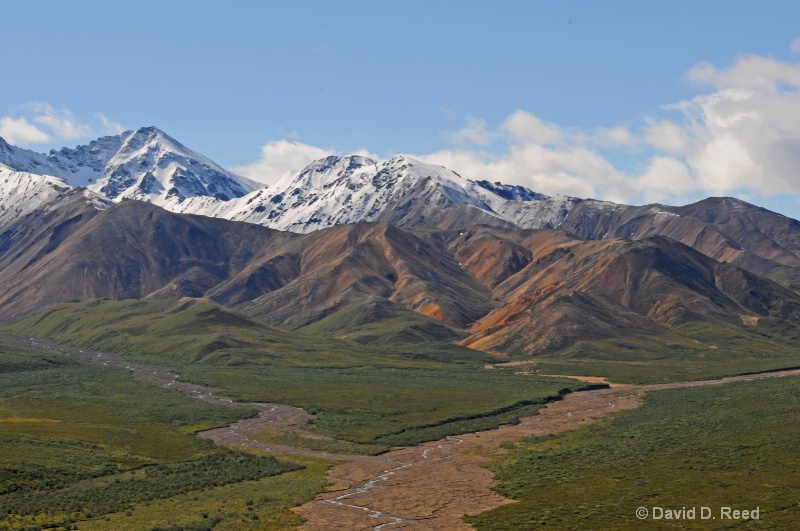 Denali National Park