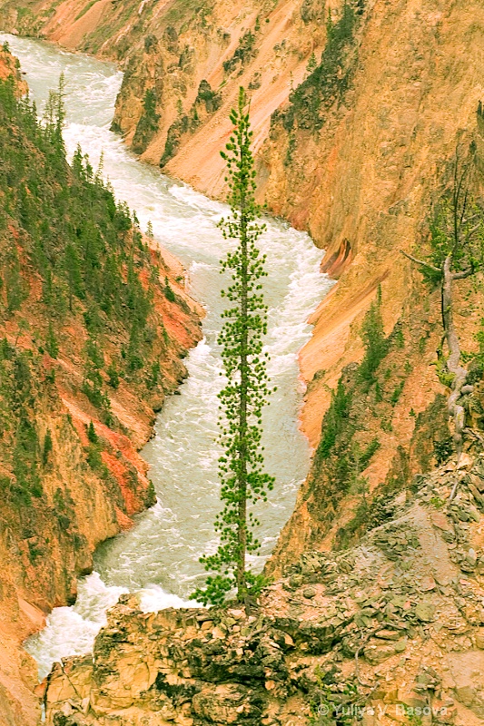 The Grand Canyon of Yellowstone<p>