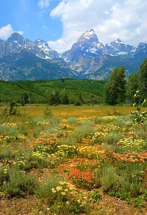 Tetons NP