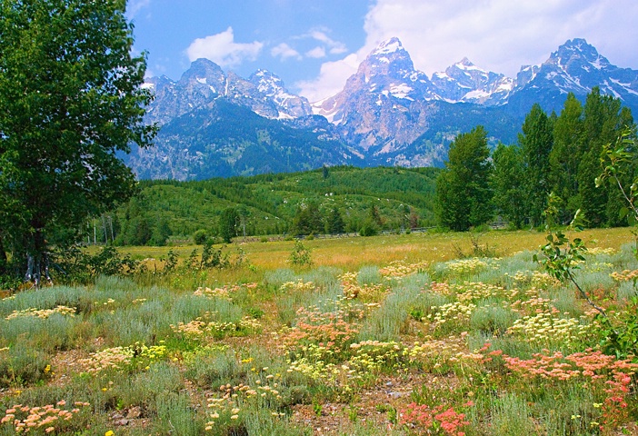 Tetons NP