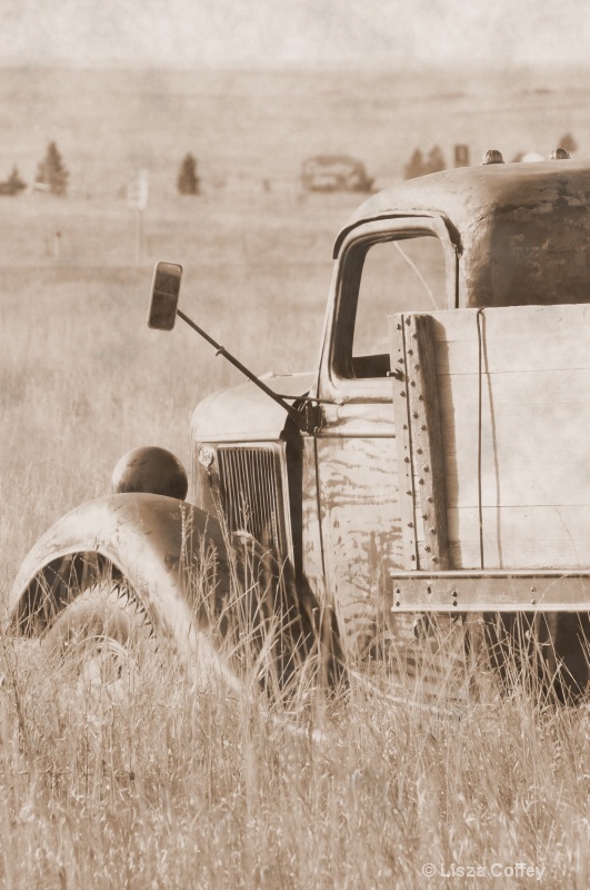 The workhorse