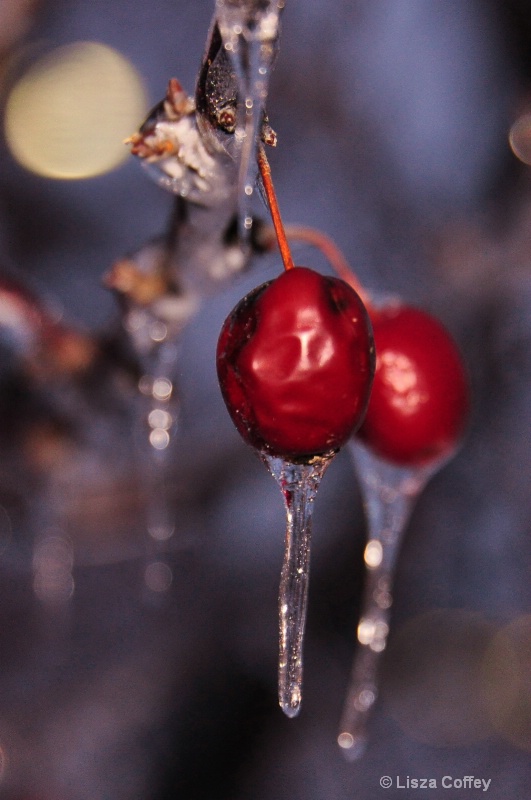 Winter glory