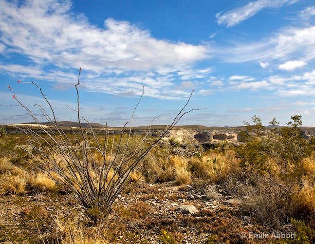 Mile Canyon Topography