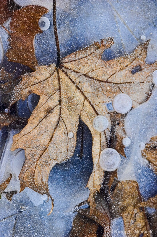 Leaf dance