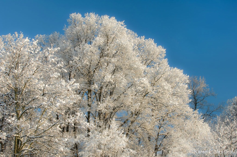 Morning Snow