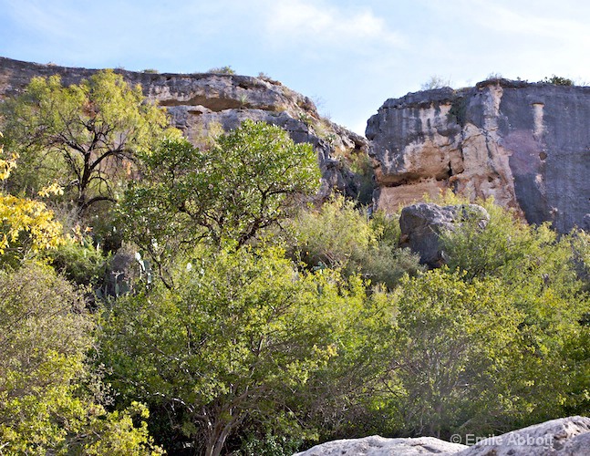 North America's Oldest Buffalo Jump