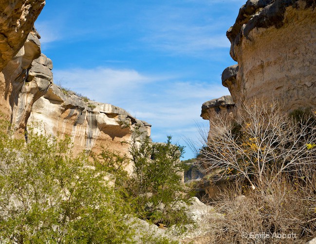 Spirits in the Canyon