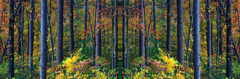 56