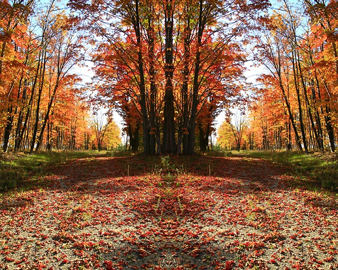 43