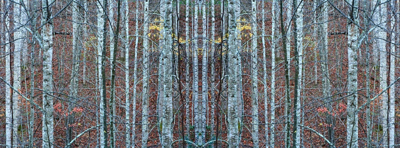 38