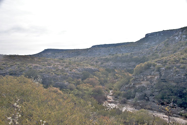 Looking up the canyon