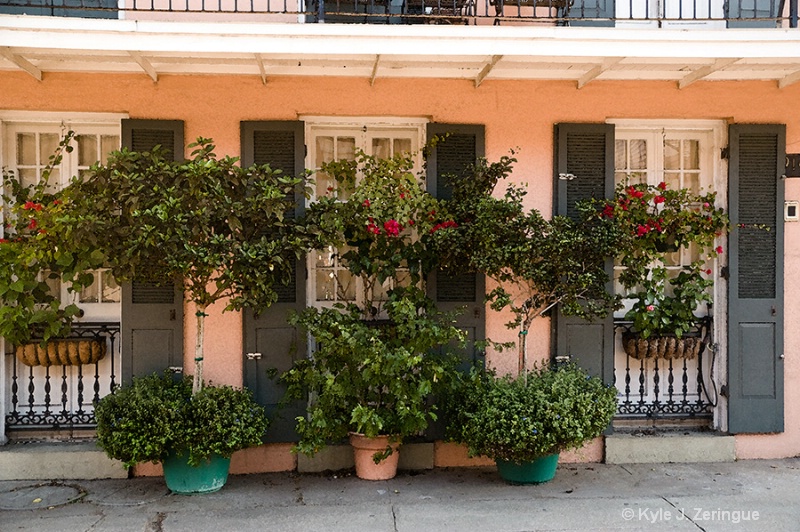 NOLA Street Scene 2