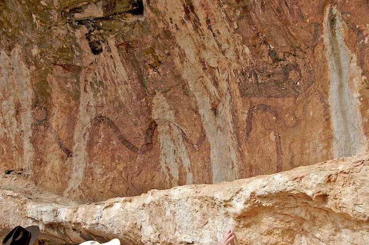 Long serpent extends over left end of shelter