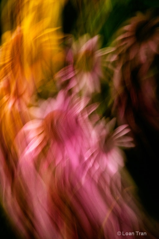 51