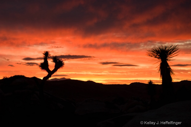 Fiery Orange Sunset