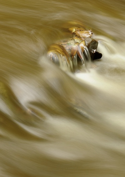 Waterflow Thru Leaves