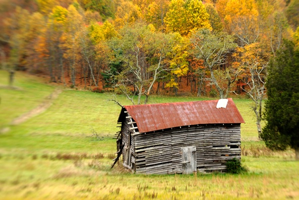 Rustic Cabin in Valley