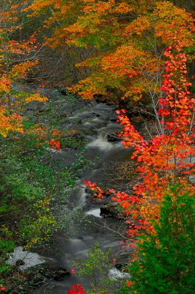 Tranquil Autumn Scene