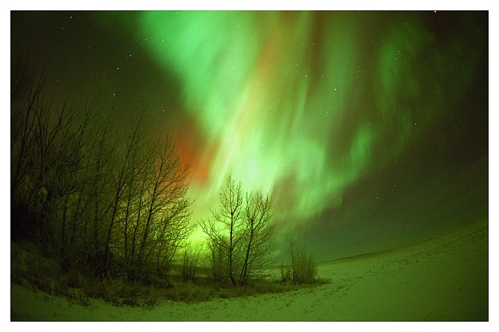 Winter Aurora, Southern Saskatchewan