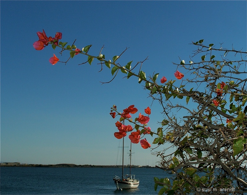 San Diego Bay