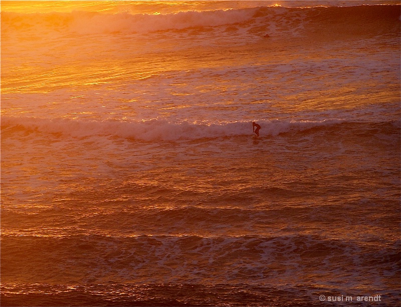 Surfer Dude