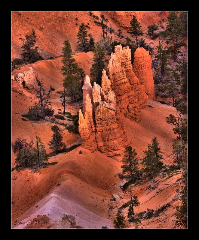 Bryce Light and Shadow