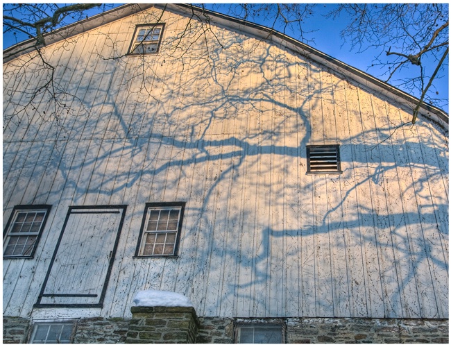 Barn Shadows #318