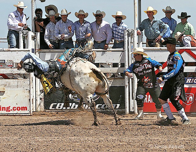 Sideways dismount after 8 second ride