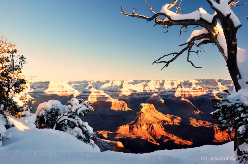 Canyon view