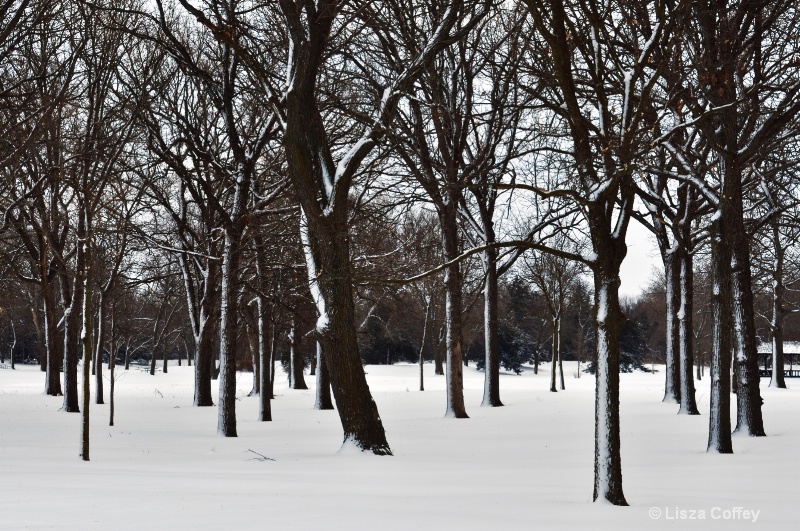 Winter afternoon