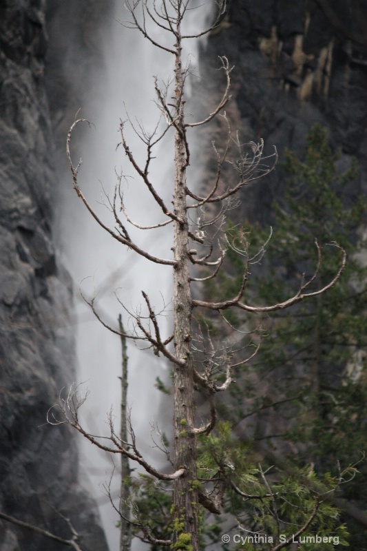 Water of Life. . .Yosemite, CA